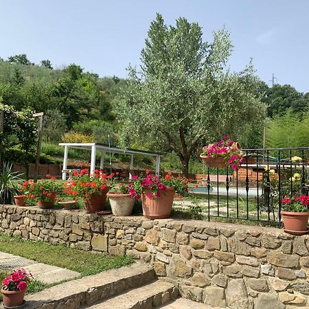 פייגלין ולדרנו Guest House Torre Guelfa, Vinsantaia מראה חיצוני תמונה